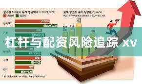 杠杆与配资风险追踪 xv