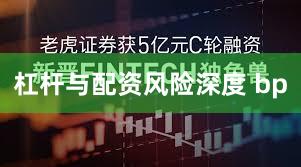 杠杆与配资风险深度 bp